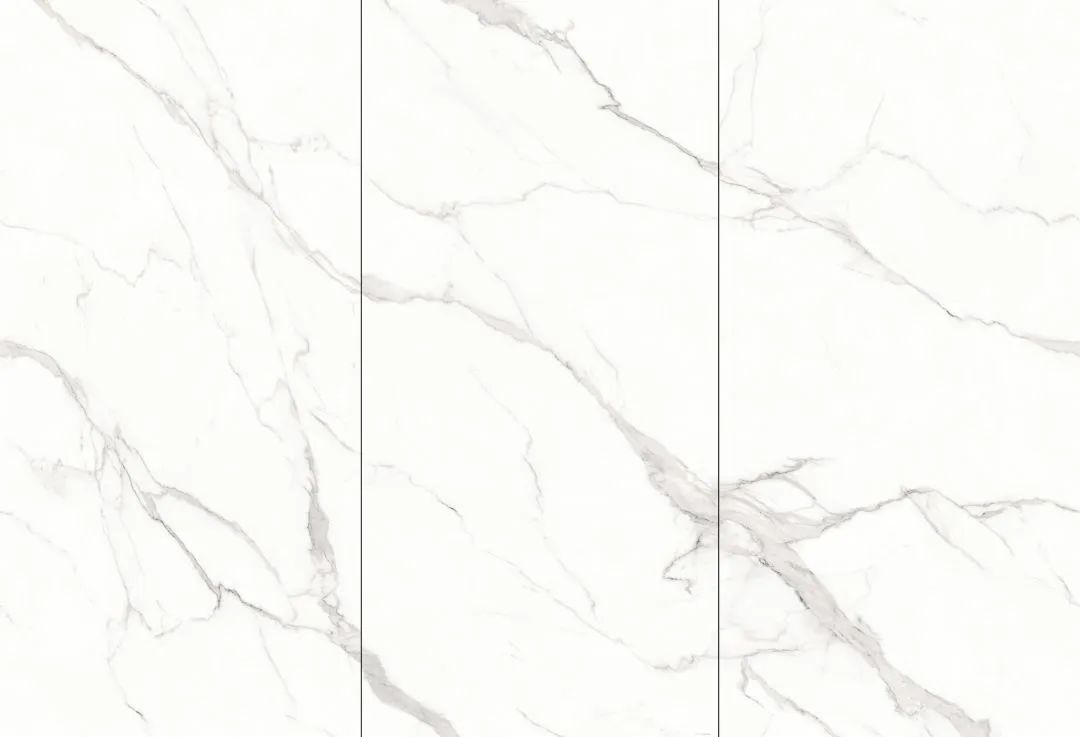 【新品】奢華定制，1600x3200mm成就大宅風(fēng)范！(圖24)